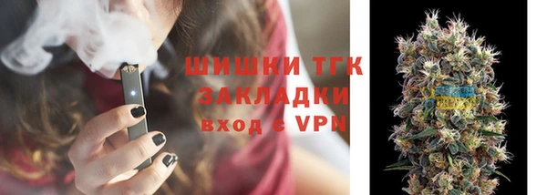 твердый Алзамай